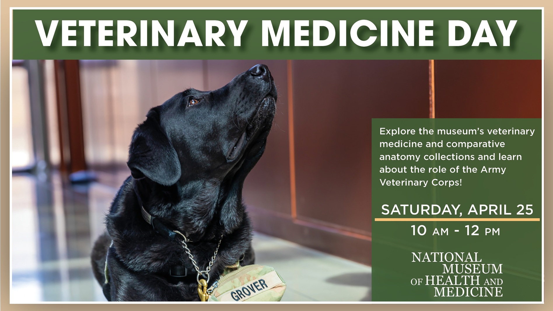 Veterinary Medicine Day header, with a black dog looking up