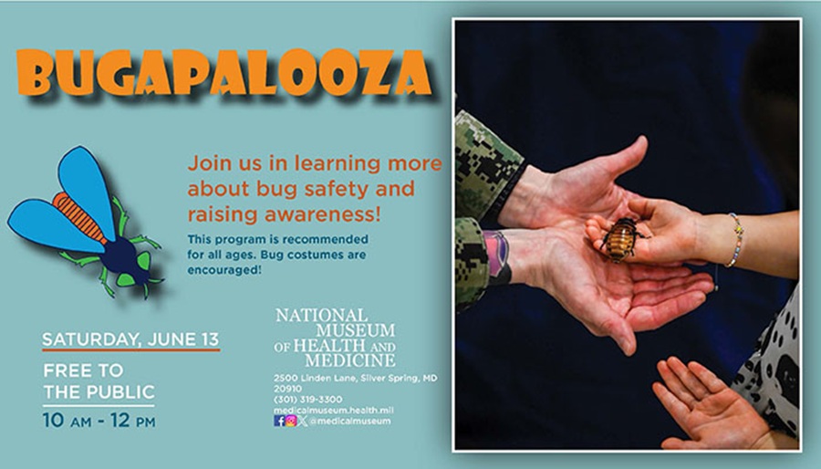 Medical Museum Bugapalooza Day