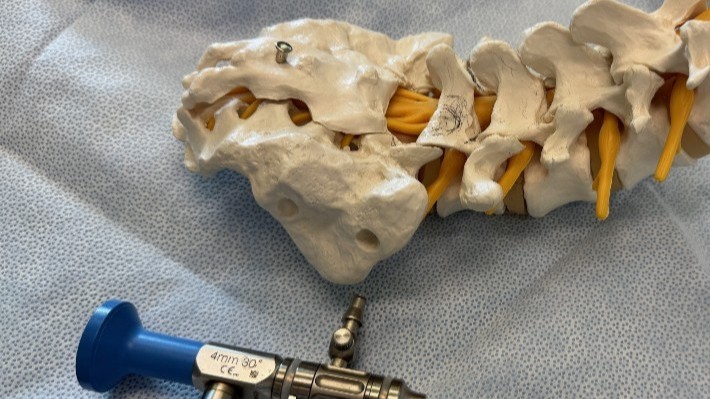 Dr. Lawless explains the surgical procedure in his office with a spine visual aid at USNHO (U.S. Navy photo by Public Affairs Officer Trey Savitz)