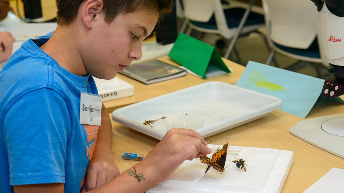 Benjamin Trautner, a 12-year-old student at Southampton Middle School in Bel Air, Maryland, practices his bug pinning skills during the 2nd annual Bug Camp hosted by Defense Health Agency-Public Health, at Aberdeen Proving Ground, Maryland, July 1, 2026. Middle school students from Pennsylvania and Maryland learned about entomology’s public health role in protecting service members from insect-borne disease. (Defense Health Agency-Public Health photo by Rachel Stershic).