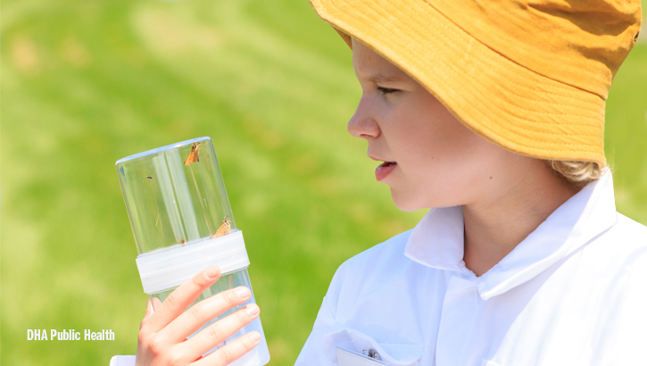 Child looking at moths and other insects in a plastic tube