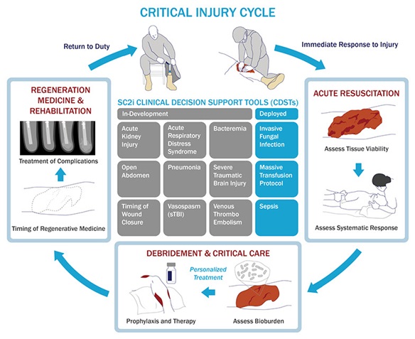 The process from immediate response to injury, through acute resuscitation, debridement & critical care, and regeneration medicine & rehabilitation, leading to return to duty. (Image courtesy of SC2i)